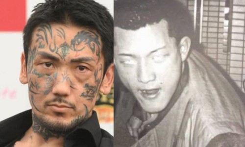 罗汉松叶的功效与作用网 :分享罗汉松叶子泡水喝的功效-罗汉松叶的功效与作用知识