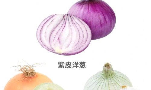 罗汉松叶的功效与作用网 :分享罗汉松叶子泡水喝的功效-罗汉松叶的功效与作用知识